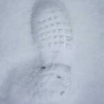 Schnee, Spur, Spuren, Winter, inverno, weiße Jahreszeit, winter