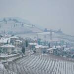 Schnee, Termeno, Tramin, Winter, inverno, weiße Jahreszeit, winter