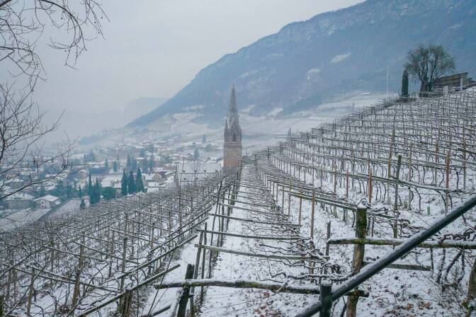 20080104113956-P1040094