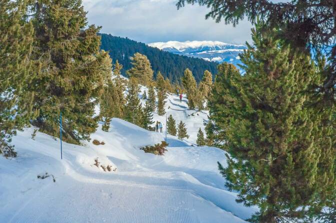 Winterwanderung am Panoramaweg Rittner Horn