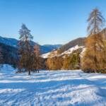 Schnee, Weg, Winter, cammino, inverno, way, weiße Jahreszeit, winter