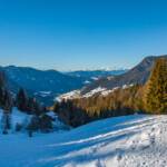 Schnee, Tiers, Winter, Winterwanderweg, inverno, weiße Jahreszeit, winter