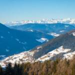 Schnee, Tiers, Winter, inverno, weiße Jahreszeit, winter