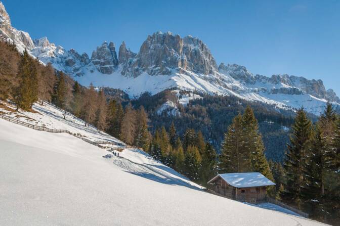 20110102133712-20110102-Tiers-Rosengarten-065