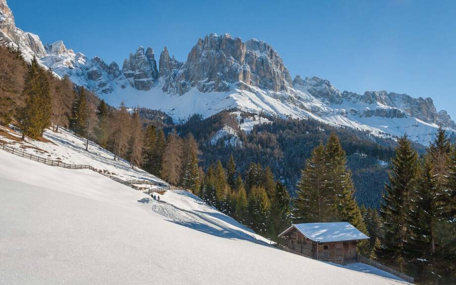 20110102133712-20110102-Tiers-Rosengarten-065