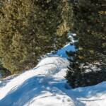 Gardena, Goeden, Gröden, Grödental, Grödner Tal, Grödnertal, Raschötz, Schnee, Val Gardena, Valgardena, Winter, inverno, weiße Jahreszeit, winter