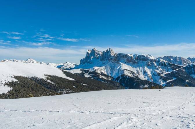 20110116131001-20110116-Raschoetz-042