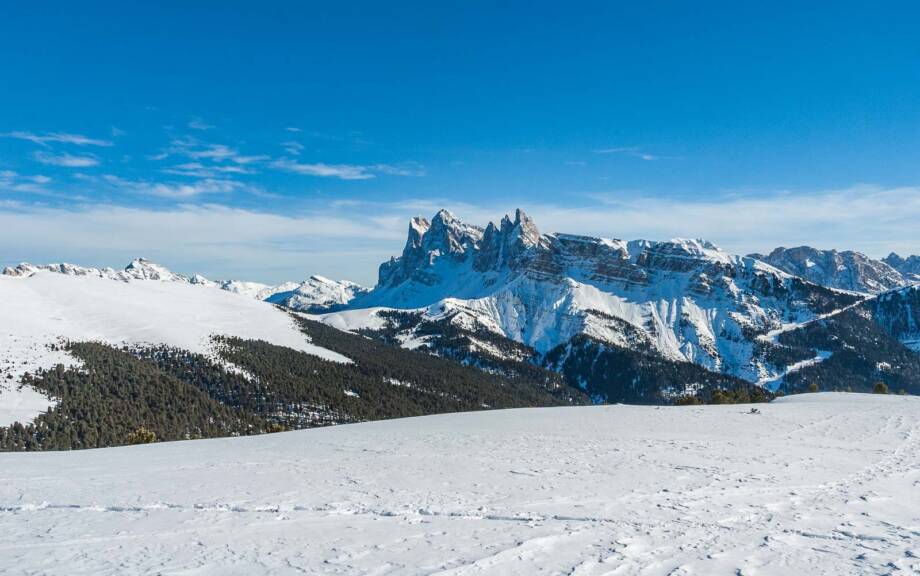 20110116131001-20110116-Raschoetz-042