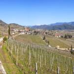 Alto Adige, Berg, Berge, Etschtal, Frühjahr, Frühling, Gotteshaus, Kirche, Rebe, Reben, Ritten, South Tyrol, Strada del Vino, Sudtirol, Sudtirolo, Suedtirol, Südtirol, Südtiroler Unterland, Südtiroler Weinstraße, Termeno, Tramin, Unterland, Weinberg, Weinberge, Weinlandschaft, Weinreben, Weinstrasse, Weinstraße, chiesa, church, vigna, vigneto, vineyard, wine route