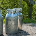 Milch, Milchkanne, Milchkannen