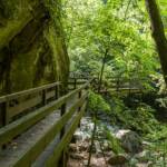 Gaulschlucht, Geländer, Holzbrücke, Lana, Schlucht, Steg