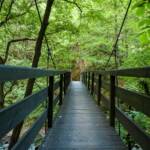 Gaulschlucht, Geländer, Holzbrücke, Lana, Schlucht, Steg