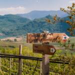 Kalterer See, Kalterersee, See, Strada del Vino, Südtiroler Weinstraße, Termeno, Tramin, Wegweiser, Weinstrasse, Weinstraße, lago, lake, wandern, wine route