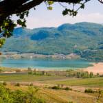 Frühjahr, Frühling, Kalterer See, Kalterersee, See, Termeno, Tramin, Weinberg, Weinberge, lago, lake, vigna, vigneto, vineyard