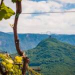Caldaro, Frühjahr, Frühling, Kaltern, Leuchtenburg, Strada del Vino, Südtiroler Weinstraße, Weinlandschaft, Weinreben, Weinstrasse, Weinstraße, wine route