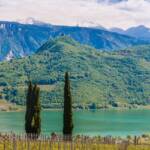 Caldaro, Kalterer See, Kalterersee, Kaltern, Leuchtenburg, See, Strada del Vino, Südtiroler Weinstraße, Weinberg, Weinberge, Weinstrasse, Weinstraße, lago, lake, vigna, vigneto, vineyard, wine route