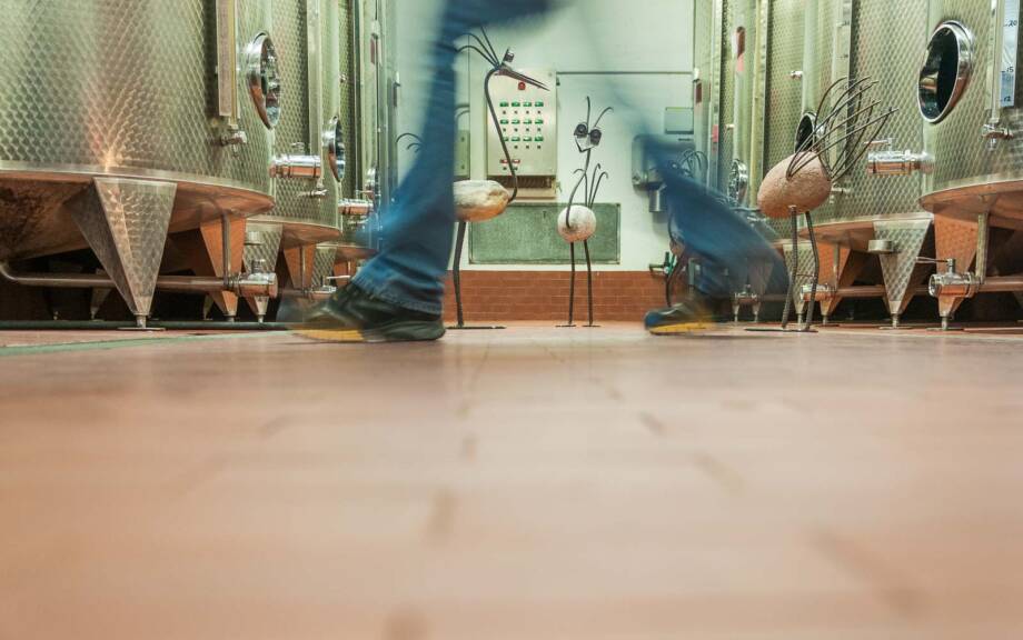 In der Kellerei Kettmeier