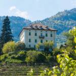Anbauflächen, Caldaro, Castel Ringberg, Kaltern, Rebflächen, Strada del Vino, Südtiroler Weinstraße, Weinanbaugebiet, Weinbaugebiet, Weinberg, Weinberge, Weinlandschaft, Weinstrasse, Weinstraße, wine route, wine terroir, wineyards