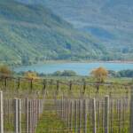 Kalterer See, Kalterersee