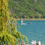 Caldaro, Kalterer See, Kalterersee, Kaltern, See, Strada del Vino, Surfer, Südtiroler Weinstraße, Wasser, Wassersport, Weinstrasse, Weinstraße, aquatic sport, lago, lake, sport aquatico, surfen, wine route