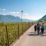 Caldaro, Kaltern, Strada del Vino, Südtiroler Weinstraße, Wandertag, Weinstrasse, Weinstraße, Weinwandertag, wine route
