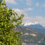 Corno nero, Schwarzhorn, Strada del Vino, Südtiroler Weinstraße, Termeno, Tramin, Weinstrasse, Weinstraße, wine route
