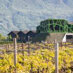 Anbauflächen, Frühjahr, Frühling, Kellerei, Pergel, Pergeln, Rebflächen, Strada del Vino, Südtiroler Weinstraße, Termeno, Tramin, Weinanbaugebiet, Weinbaugebiet, Weinberg, Weinberge, Weinkellerei, Weinlandschaft, Weinstrasse, Weinstraße, Weinwandertag, cantina, cantina vinicola, vigna, vigneto, vineyard, wine cellar, wine route, wine terroir, winery, wineyards