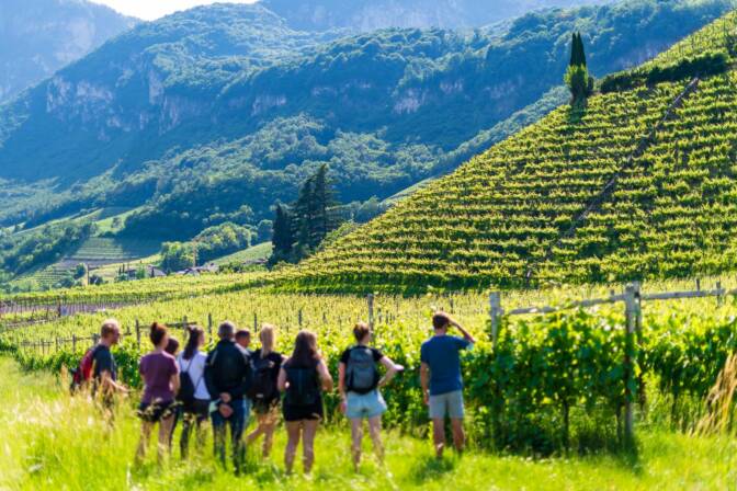 20210602162629-_8505671