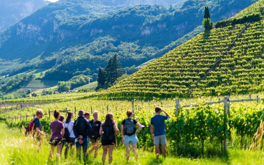 20210602162629-_8505671