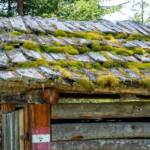 Dach, Holzschindeln, Hütte, Stadl, baita, cabana, cabin, capanna, chalet, hut