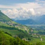 Alto Adige, Etschtal, Kurtatsch, Mitterberg, South Tyrol, Sudtirol, Sudtirolo, Suedtirol, Südtirol, Südtiroler Unterland, Tal, Unterland, Valle, Weinberg, Weinberge, vigna, vigneto, vineyard