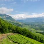 Etschtal, Tal, Valle, Weinberg, Weinberge, vigna, vigneto, vineyard