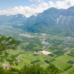 Alto Adige, Etschtal, Margreid, South Tyrol, Sudtirol, Sudtirolo, Suedtirol, Südtirol, Südtiroler Unterland, Tal, Unterland, Valle, Vogelperspektive, Weinberg, Weinberge, vigna, vigneto, vineyard