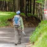 Forststraße, Forstweg, Markierung, Wald, Wanderer, Wandermarkierung, Wanderweg, Wanderwegmarkierung, Wegmarkierung, Wegnummer, sentiero, wandern