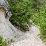 Pfad, Wanderweg, Weg, cammino, passeggiare, path, sentiero, spazieren, spazieren gehen, wandern, way