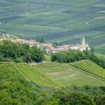 Gotteshaus, Kirche, Kulturlandschaft, Penon, Vogelperspektive, Weinberg, Weinberge, chiesa, church, vigna, vigneto, vineyard