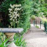 , Agave, Agavengewächse, Guntschnapromenade, Promenade, Spargelgewächse, Spazierweg, Weg, cammino, way