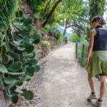 Die Guntschnapromenade schlängelt sich in Serpentinen durch einen gepflegten Botanischen Garten im Bozner Stadtteil Gries bergwärts, Botanik, Botanischer Garten, Cactaceae, Flora, Guntschnapromenade, Kakteen, Kakteengewächse, Kaktus, Kaktusse, Pflanze, Spaziergänger, Spazierweg, Sukkulente