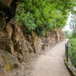 , Botanik, Cactaceae, Flora, Guntschnapromenade, Kakteen, Kakteengewächse, Kaktus, Kaktusse, Pflanze, Promenade, Spazierweg, Sukkulente, Weg, cammino, way