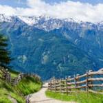 Martelltal mit Ortlergruppe, Alto Adige, Berg, Berge, Latsch, Martelltal, Ortler, Ortlergruppe, South Tyrol, Sudtirol, Sudtirolo, Suedtirol, Südtirol, Vinschgau, Wanderweg, Weg, Zaun, cammino, sentiero, wandern, way
