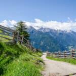 Wandern im Martelltal mit Blick auf die Gletscher der Ortlergruppe, Berg, Berge, Martelltal, Ortler, Ortlergruppe, Wanderweg, Weg, Zaun, cammino, sentiero, wandern, way