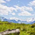 Alm mit Ortlerblick, Alm, Almmatte, Almwiese, Almwiesen, Alpe, Alto Adige, Baumstamm, Berg, Berge, Cevedale, Gletscher, Holz, Latsch, Matte, Monte Cevedale, Ortler, Ortlergruppe, South Tyrol, Sudtirol, Sudtirolo, Suedtirol, Südtirol, Trog, Vinschgau, Wassertrog, Weide, Zufallspitze, glacier