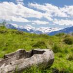 Alm mit Ortlerblick, Alm, Almmatte, Almwiese, Almwiesen, Alpe, Alto Adige, Baumstamm, Berg, Berge, Brunnen, Cevedale, Gletscher, Holz, Latsch, Matte, Monte Cevedale, Ortler, Ortlergruppe, South Tyrol, Sudtirol, Sudtirolo, Suedtirol, Südtirol, Trog, Vinschgau, Wassertrog, Weide, Zufallspitze, glacier