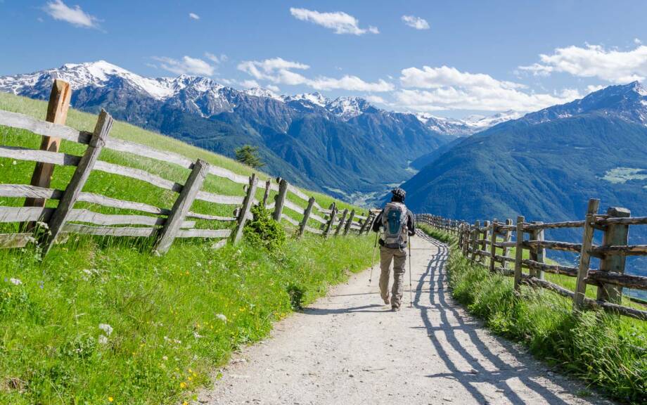 Martelltal mit Ortlergruppe