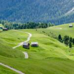 Blick auf die Tschantschenon Alm, Alm, Almmatte, Almwiese, Almwiesen, Alpe, Matte, Tschantschenon Alm, Weide, Wiese