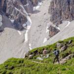 Zur Roa Scharte, Berg, Berge, Europa Höhenweg 2, Geisler, Geisler Gruppe, Geislergruppe, Geislerspitzen, Odle, Odles, Roa Scharte, Scharte, Wanderer, Wanderweg, Weg, cammino, sentiero, wandern, way