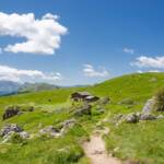 Pieralongia Alm St. Christina im Val Gardena (Gröden), Alm, Almhaus, Almhütte, Almmatte, Almwiese, Almwiesen, Alpe, Alto Adige, Berghaus, Gardena, Goeden, Gröden, Grödental, Grödner Tal, Grödnertal, Matte, Pieralongia Alm, Schutzhaus, Schutzhütte, South Tyrol, St. Christina, Sudtirol, Sudtirolo, Suedtirol, Südtirol, Val Gardena, Valgardena, Weide, alpine hut, baita, chalet, mountain hut, refuge, rifugio