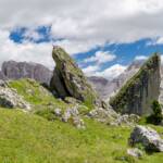 Pieralongia-Felszacken