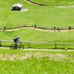 Mountainbiker, Alm, Almmatte, Almwiese, Almwiesen, Alpe, Bike, Biken, Biker, Gardena, Goeden, Gröden, Grödental, Grödner Tal, Grödnertal, Matte, Mountainbiker, Rad fahren, Radfahrer, Radler, Seceda, St. Christina, Val Gardena, Valgardena, Weide, Wiese