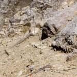 Felssteig Pana Scharte, Drahtseilpassage, Drahtseilsicherung, Felsensteig, Felsenweg, Felssteig, Felsweg, Klettersteig, Pana Scharte, Scharte, Seil, Sicherung, Steig, sicher, via ferrata